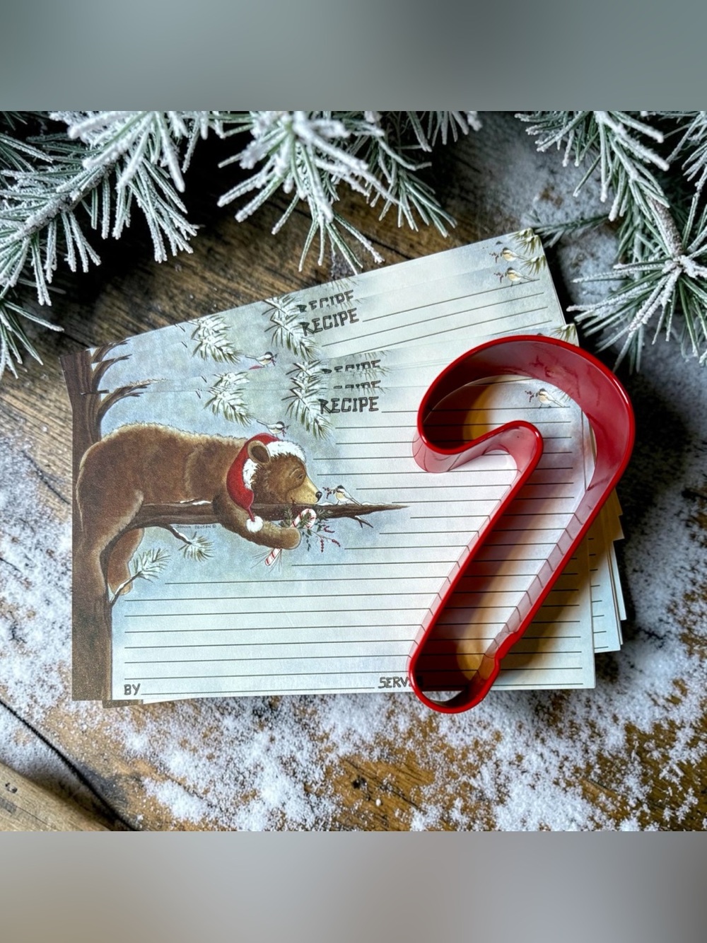 Bear Recipe cards, cookie cutter gift set wrapped with now and gift tag NEW